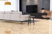 Gạch Ốp Lát APODIO 66283003